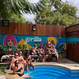 Gorilla Albergue Mendoza